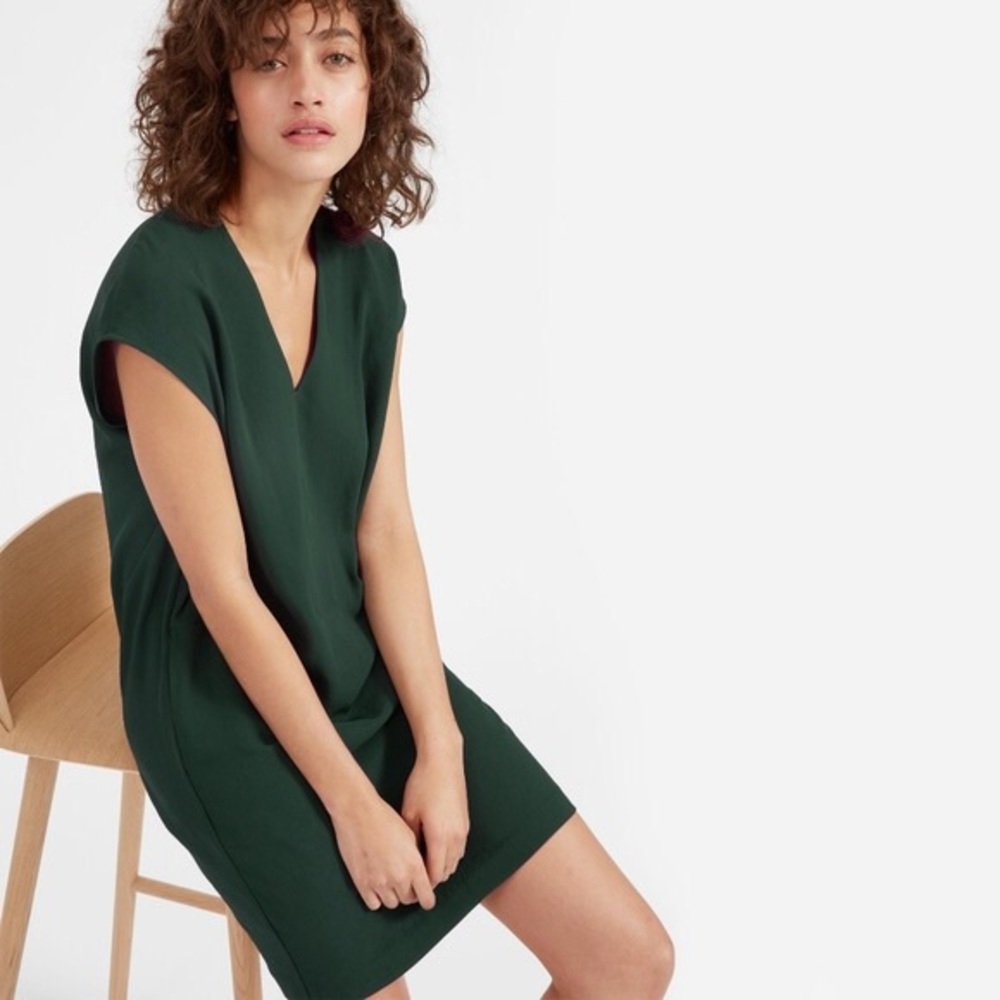 Everlane Japanese Go Weave V-neck Cocoon Dress